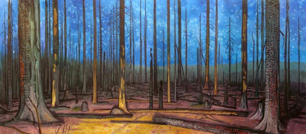 Artwork Title: Burn (Cascade Creek Fire, Mt. Adams WA)