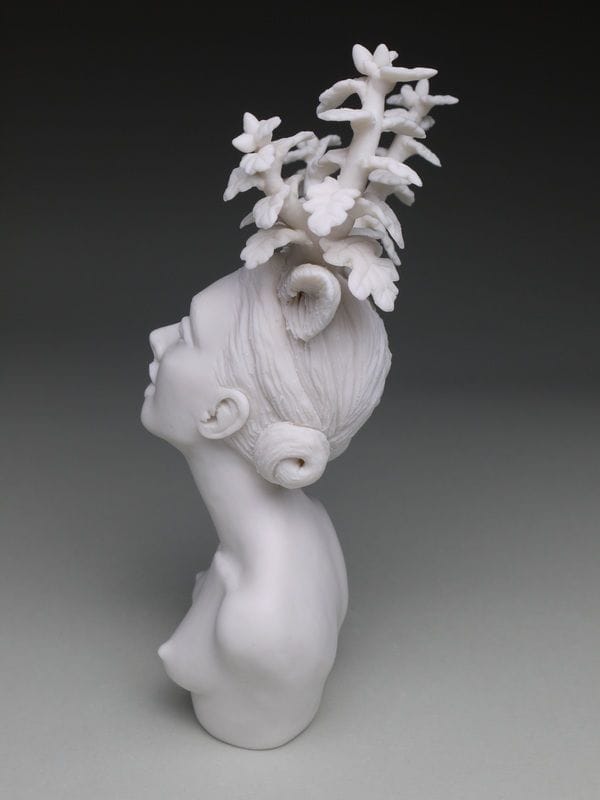 Artwork Title: Delicate Dependency: Oak Adaptations 5 and 6