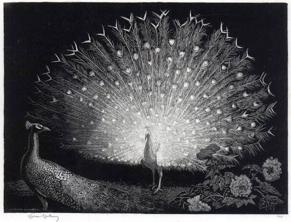 Artwork Title: The White Fan