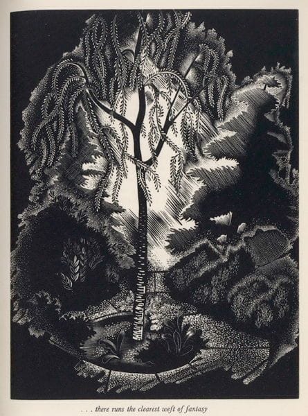 Artwork Title: Illustration from Consider The Lilies