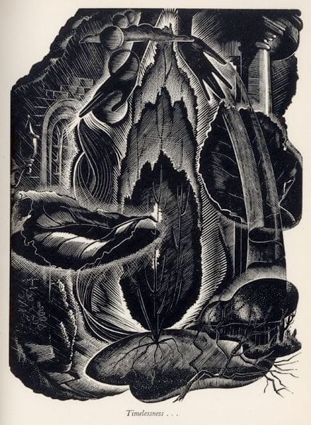 Artwork Title: Timelessness... Illustration from Consider The Lilies