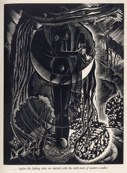 Artwork Title: Illustration from Consider The Lilies