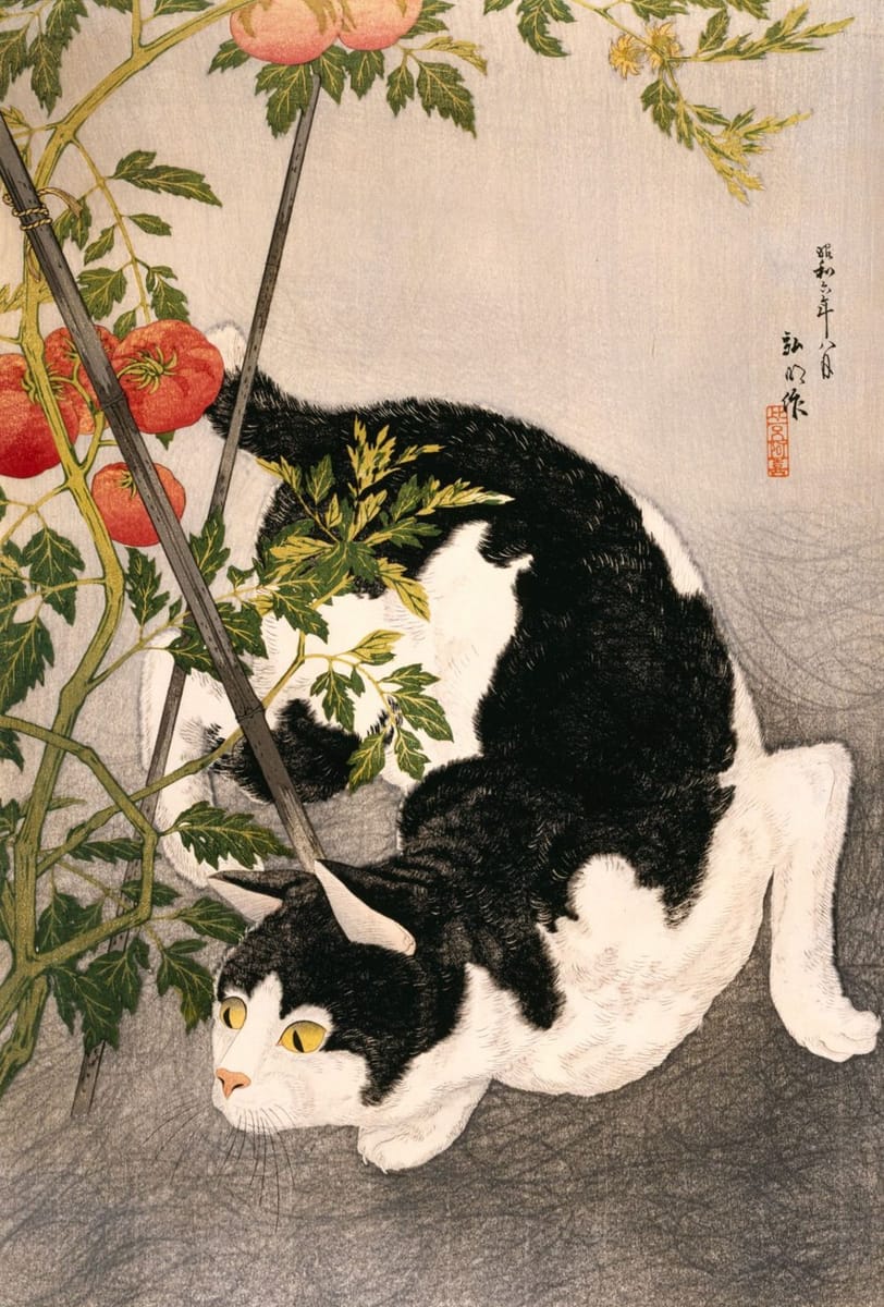 Artwork Title: Black Cat and Tomato Plant