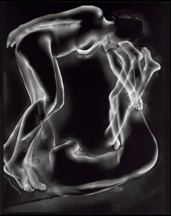 Artwork Title: Liegende Akte