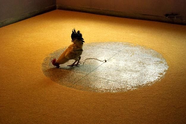 Artwork Title: Rooster