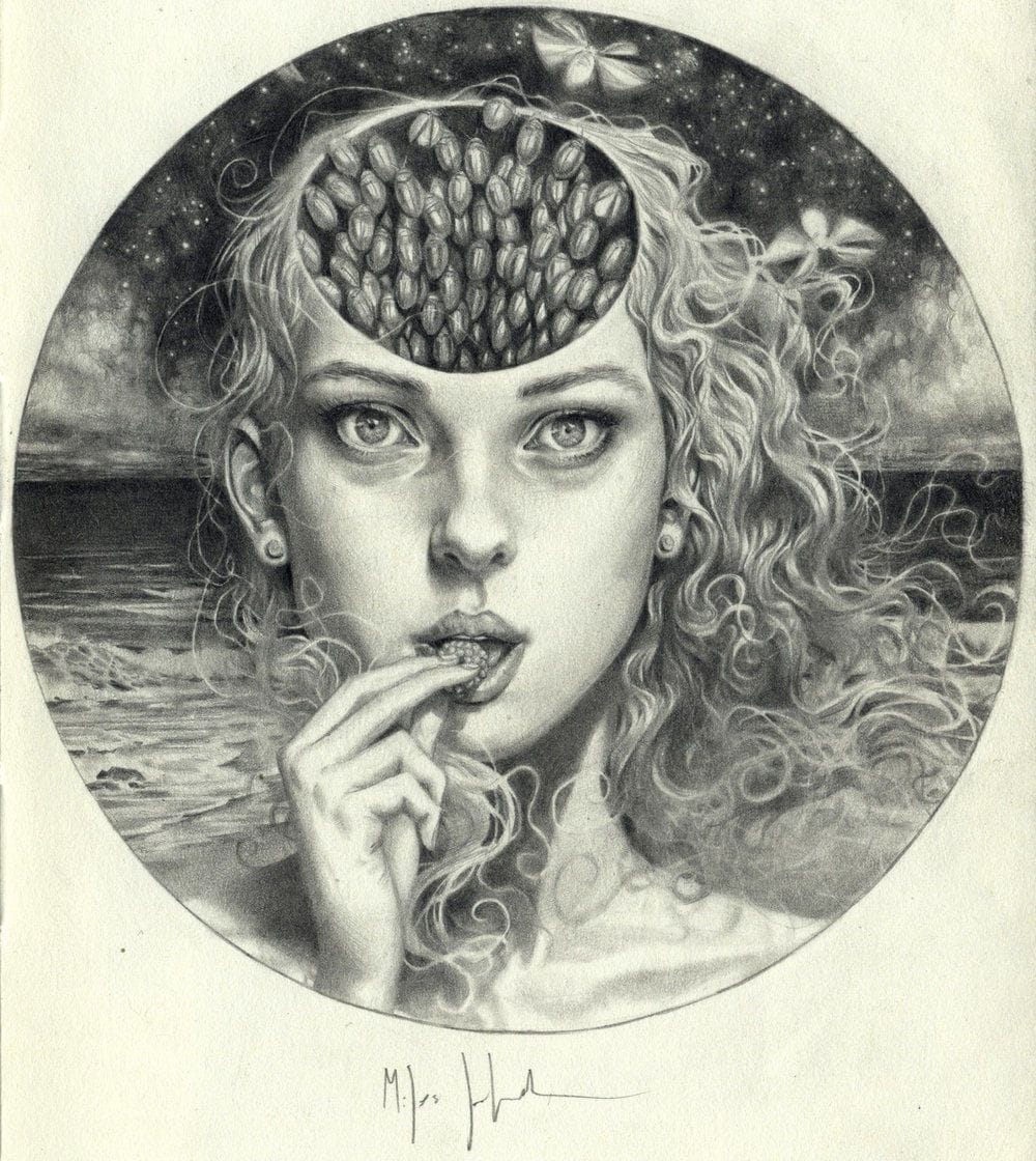 Artwork Title: Girl With Raspberry And Beetle Swarm