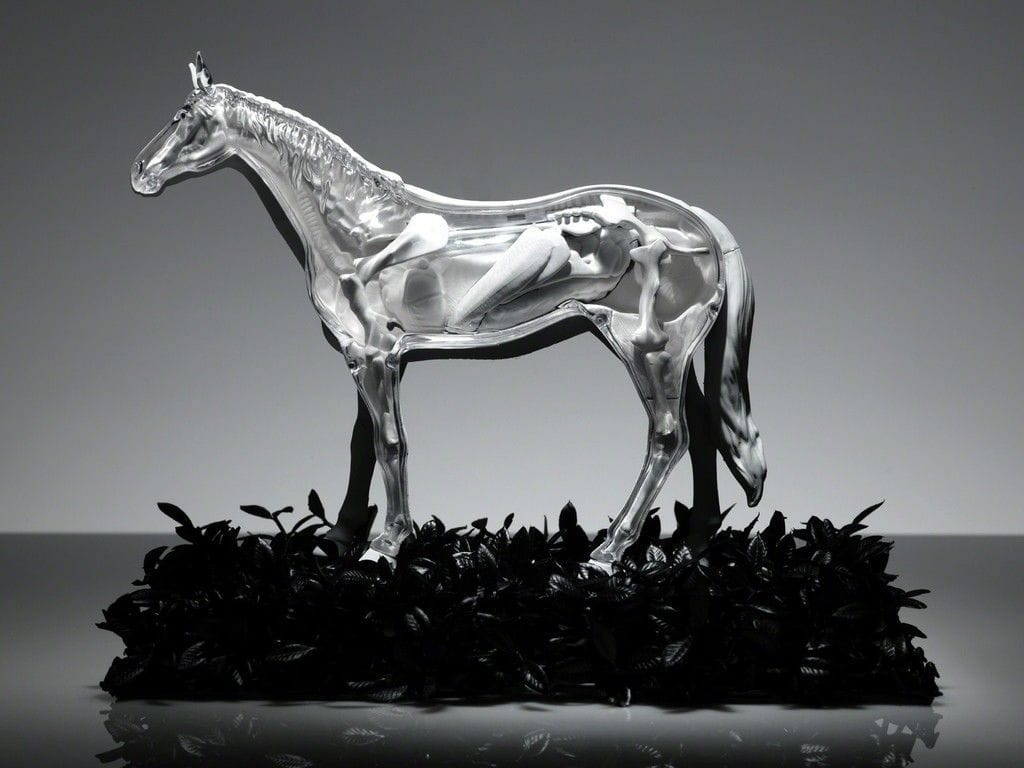 Artwork Title: Horse