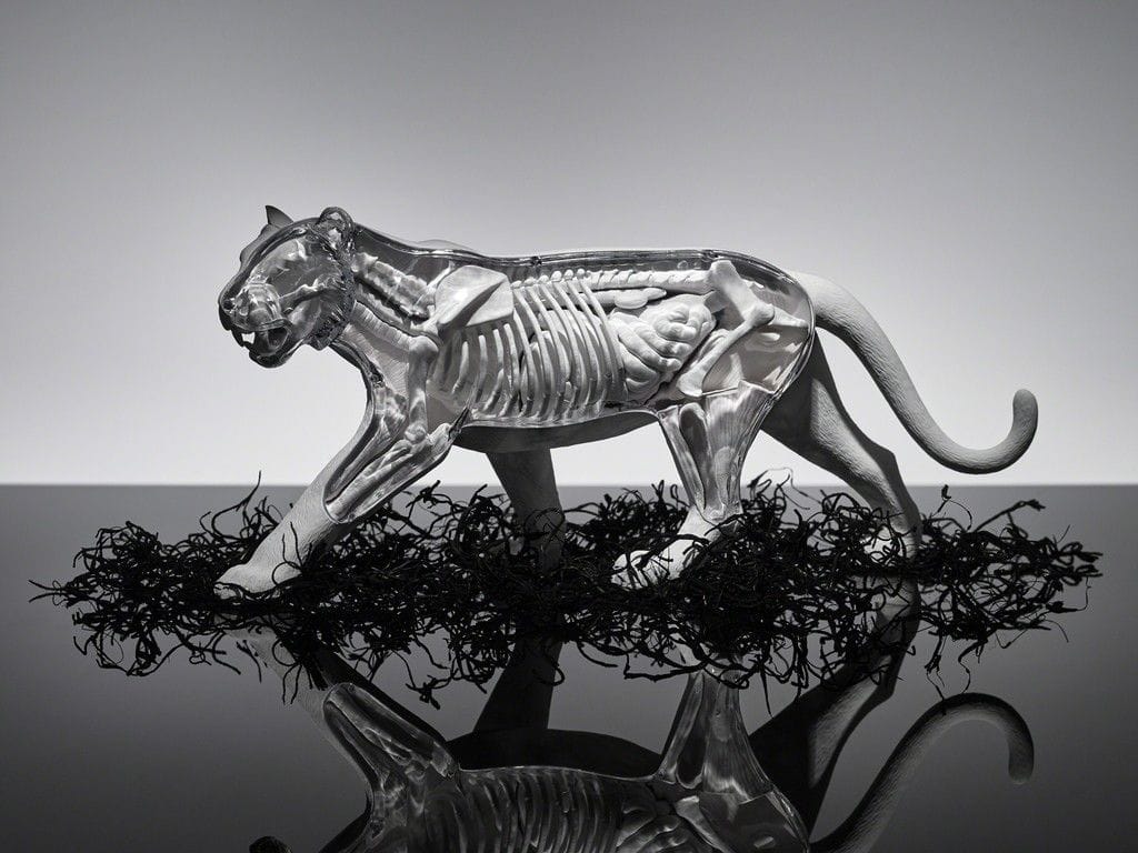 Artwork Title: Tiger