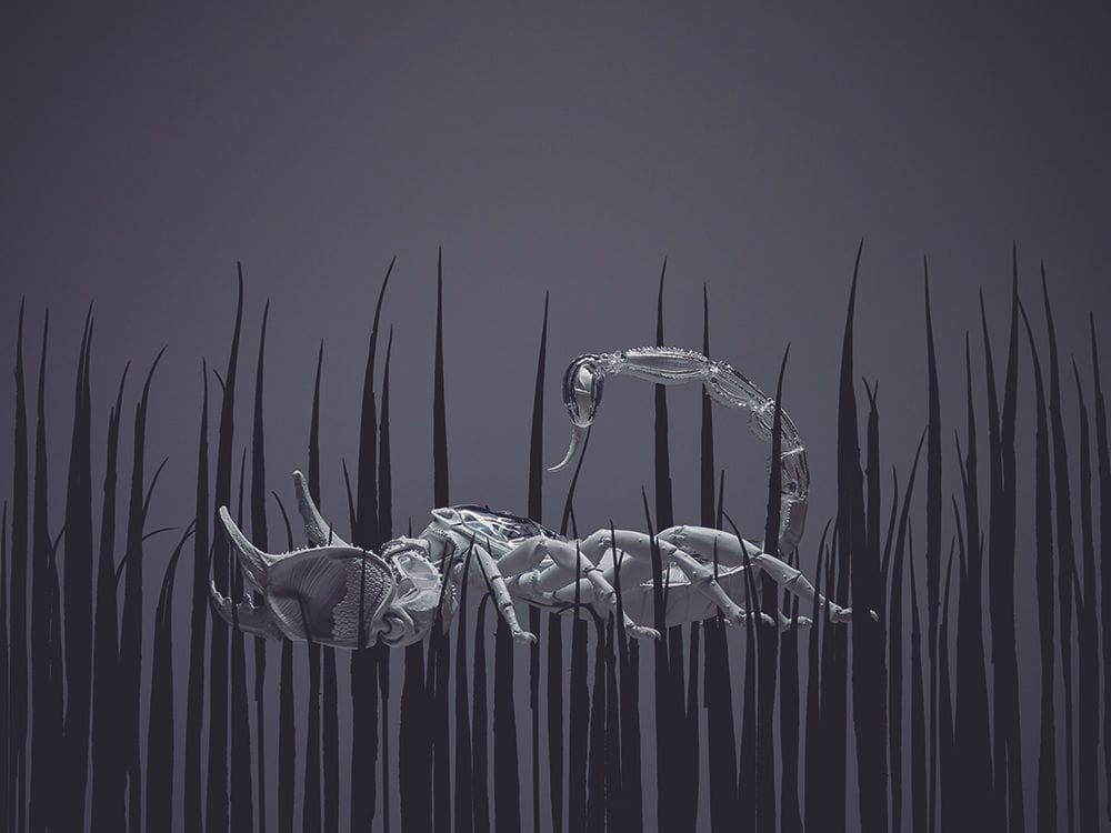 Artwork Title: Scorpion