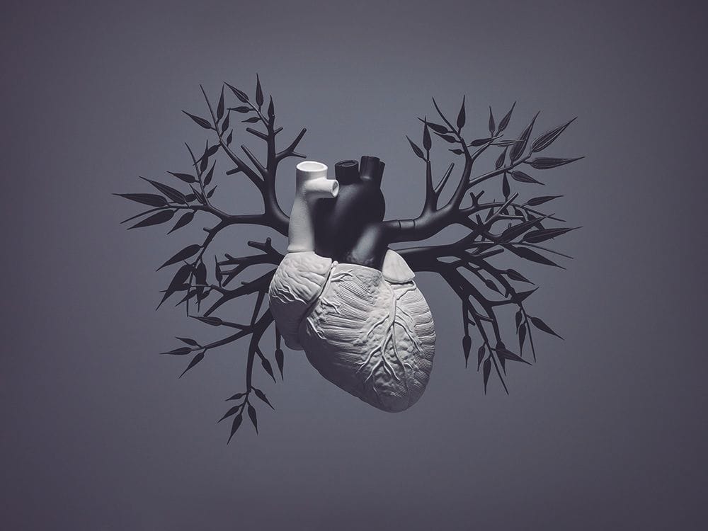 Artwork Title: Heart