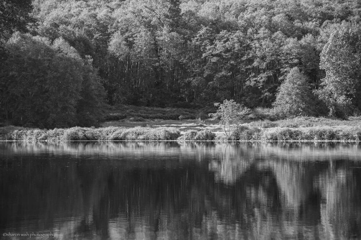 Artwork Title: Imaginary Lines