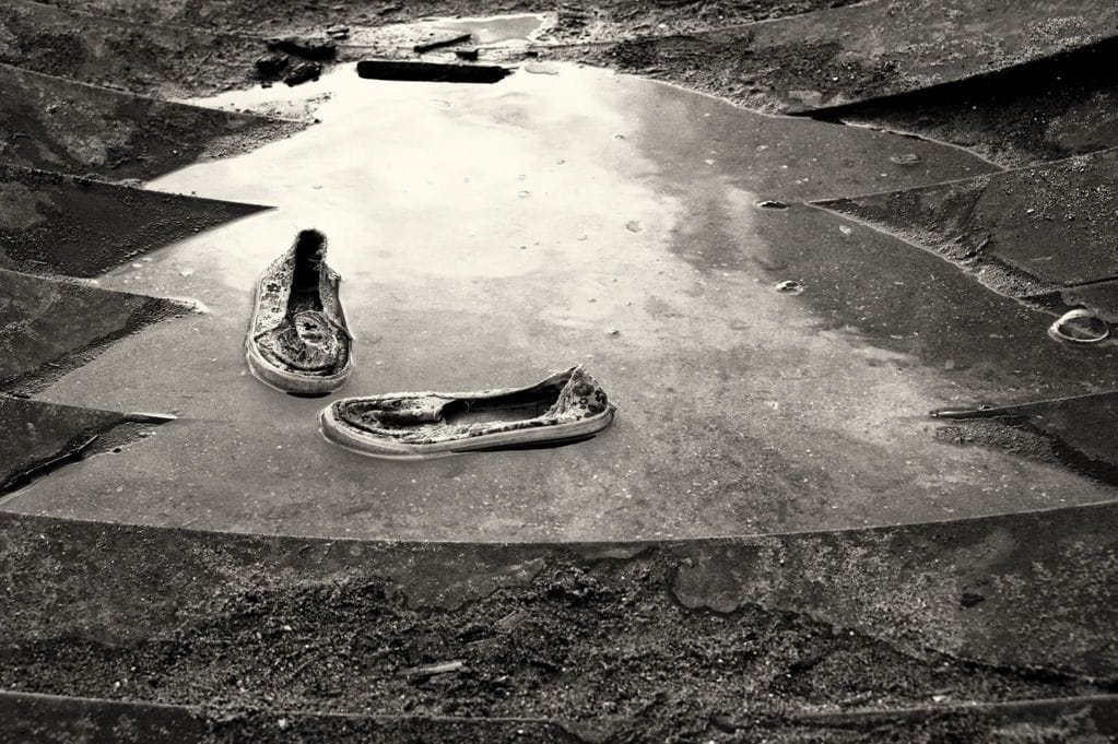 Artwork Title: Floaters