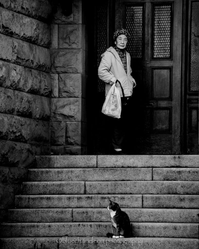 Artwork Title: The Old Woman and the Cat