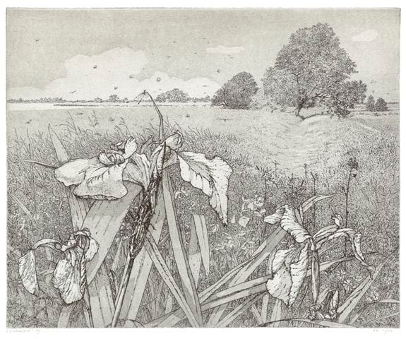 Artwork Title: Zomer in Sandebuur (Summer in Sandebuur)