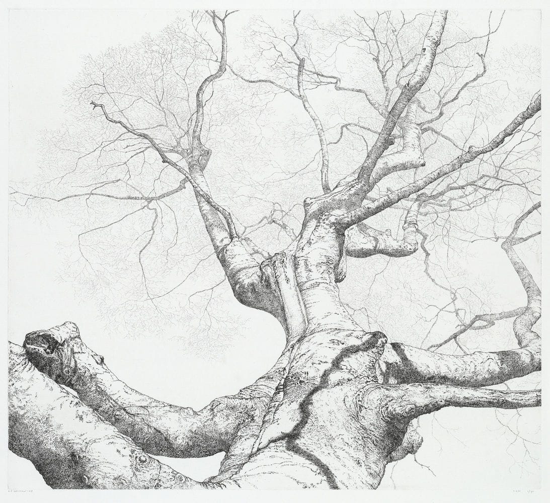 Artwork Title: Beuk I