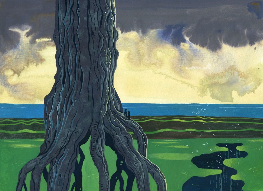 Artwork Title: Erreur Boréale