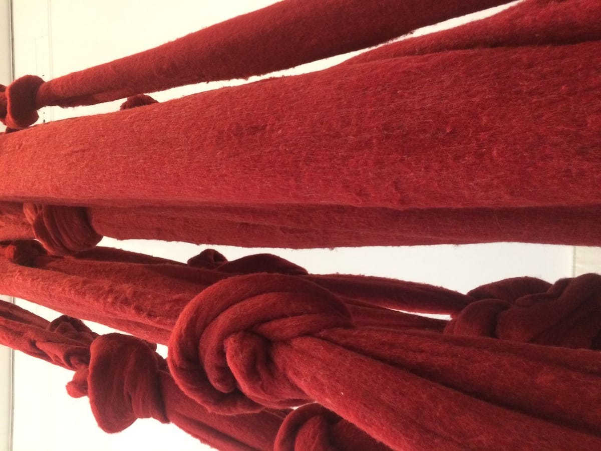 Artwork Title: Quipu Gut