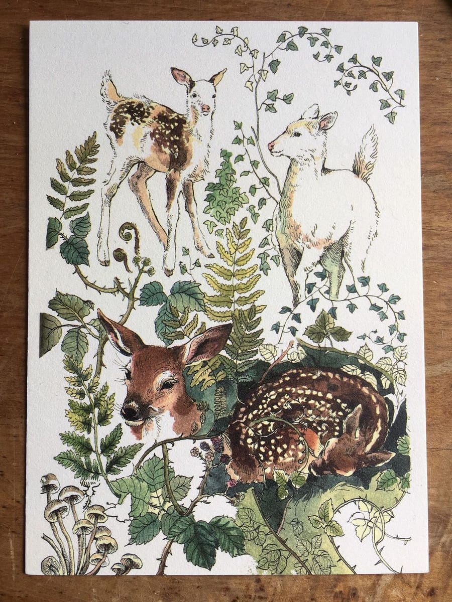 Artwork Title: Flora and Fawna