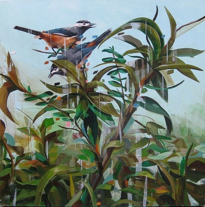 Artwork Title: Atop The Underbrush