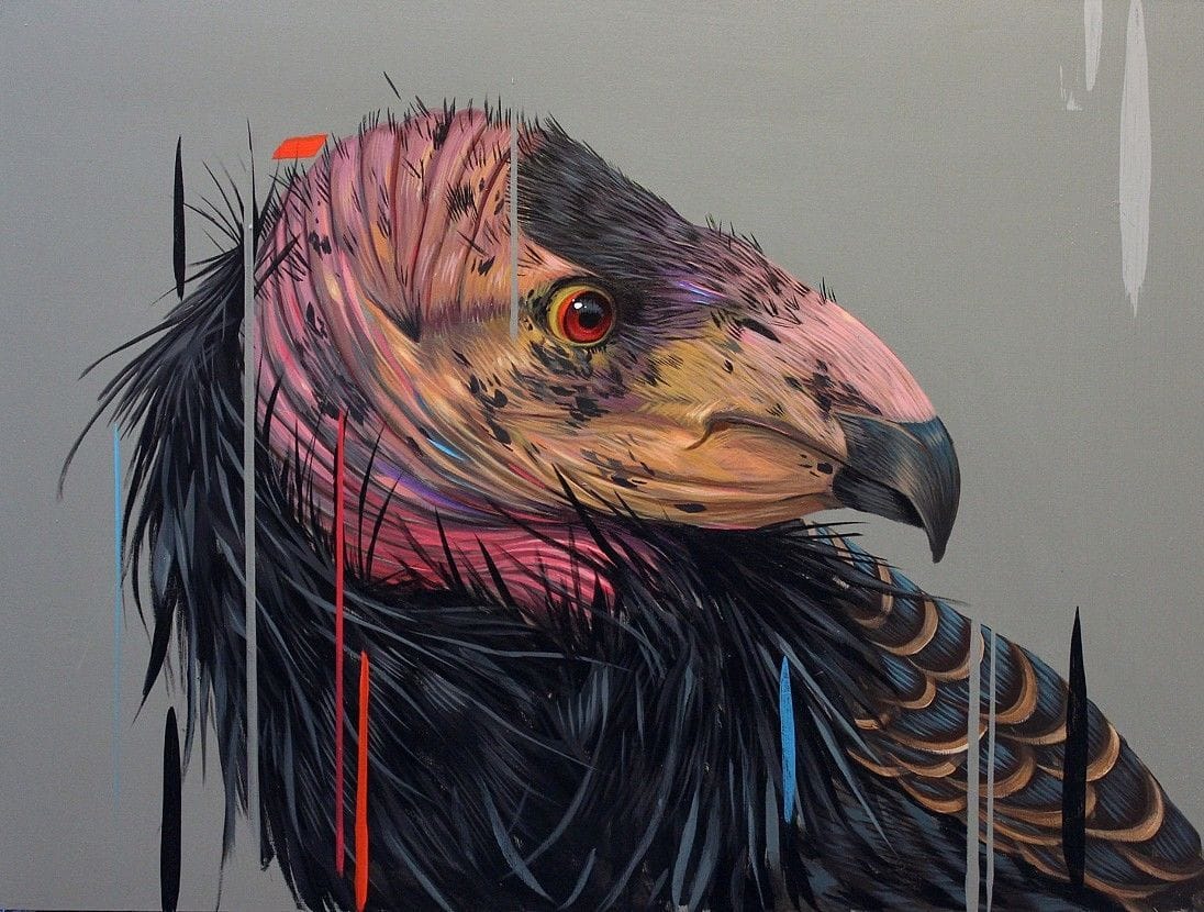 Artwork Title: California Condor
