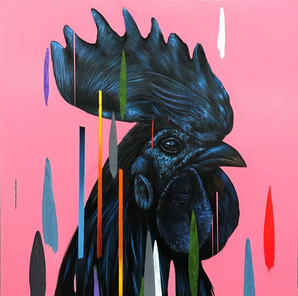 Artwork Title: Gallo Negro