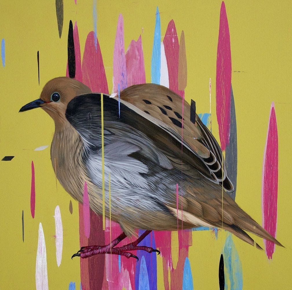 Artwork Title: Mourning Dove