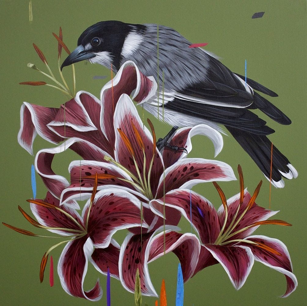 Artwork Title: Butcher Bird and Star Gazers