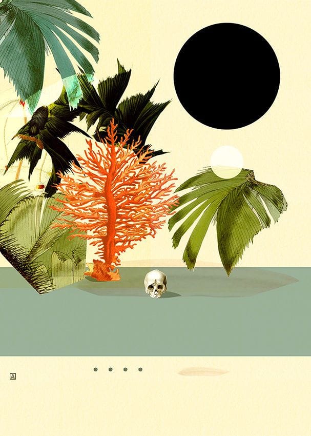 Artwork Title: Botanical Composition - The Level of Oxygen in Three Stages (1 of 3)