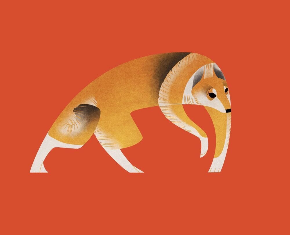 Artwork Title: Year of the Dog: Norwegian Lundehund