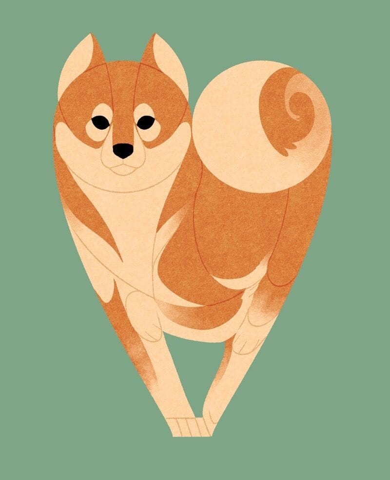Artwork Title: Year of the Dog: Shiba Inu