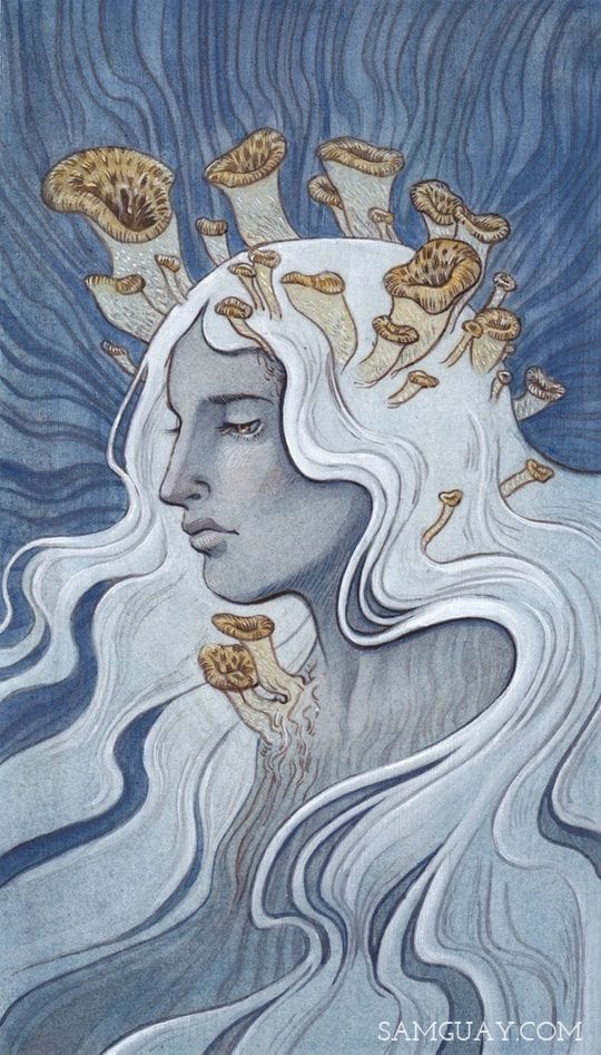 Artwork Title: Faery Ring