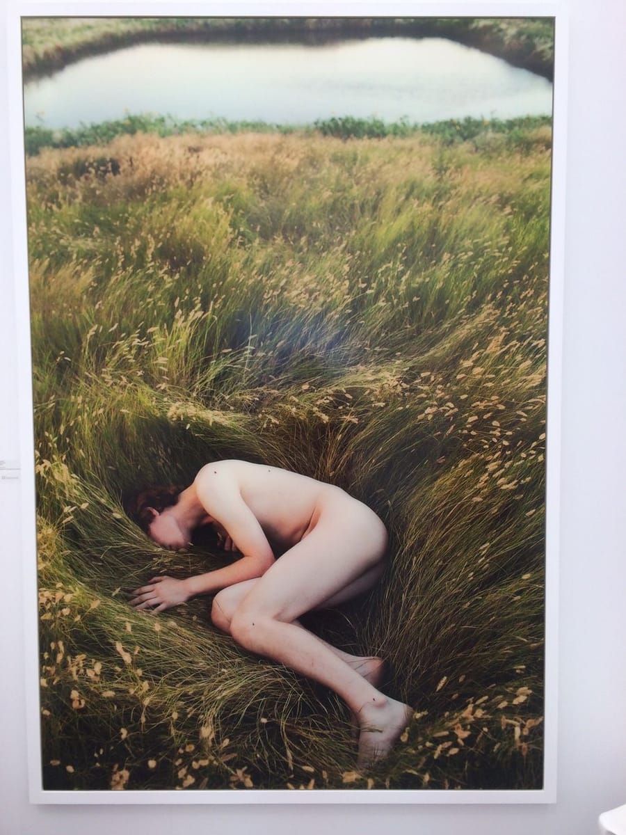 Artwork Title: Prairie (Pond)