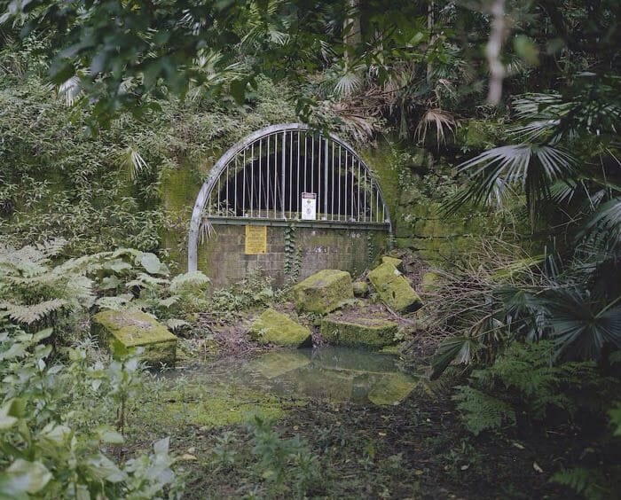 Artwork Title: Zoo