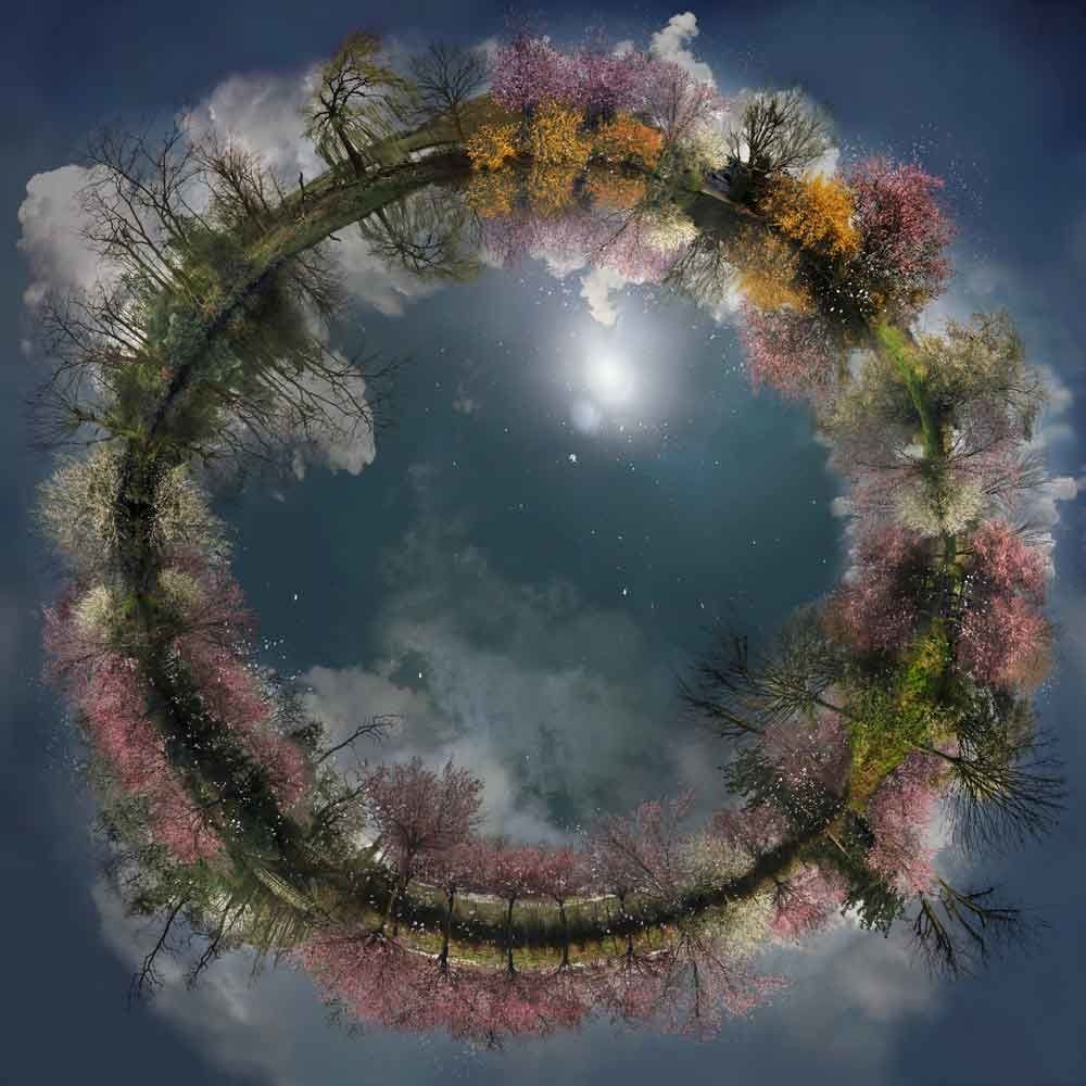 Artwork Title: Spring Blossoms