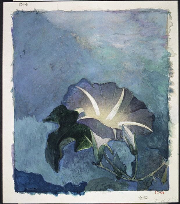 Artwork Title: Nocturne