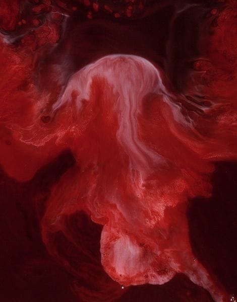 Artwork Title: Alkama (blood & Milk)