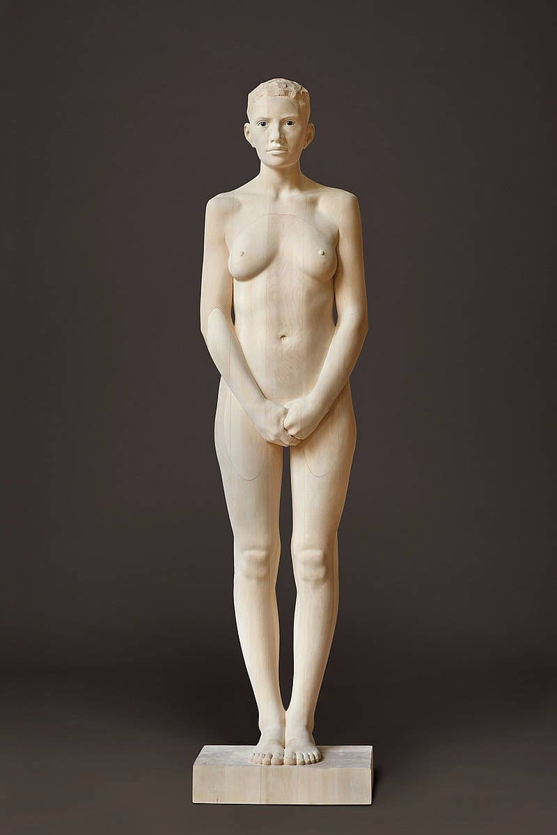 Artwork Title: Wood #13