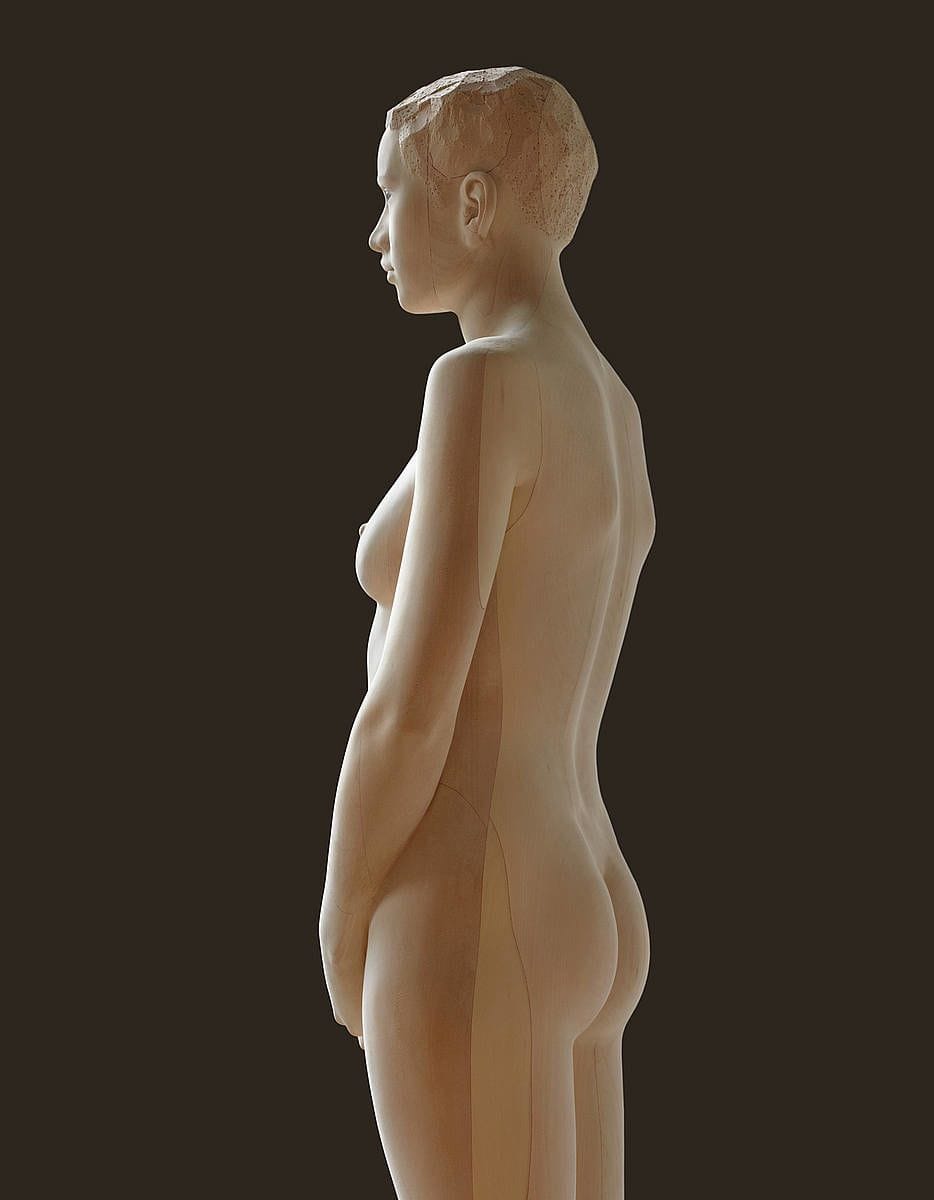 Artwork Title: Wood #13