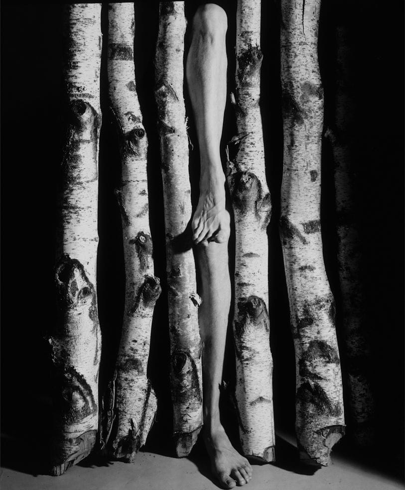 Artwork Title: undefined