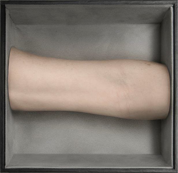 Artwork Title: Hieroglyph of my body