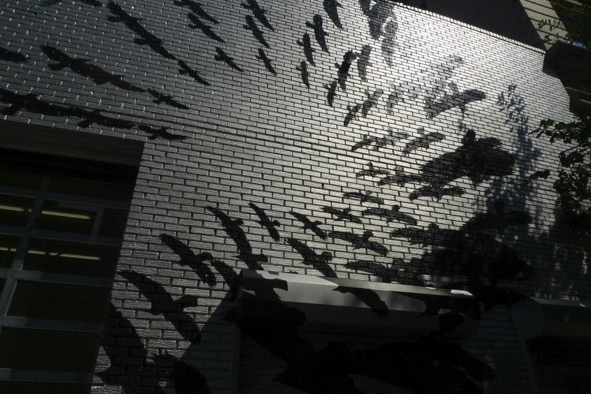 Artwork Title: The Birds