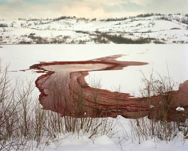 Artwork Title: Bleed