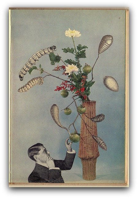 Artwork Title: Campeonato Mundial de Ikebana