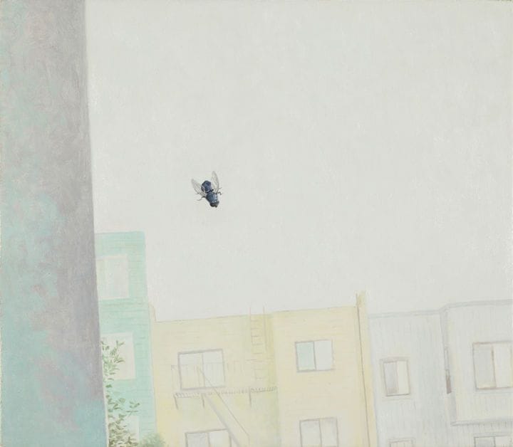 Artwork Title: Fly