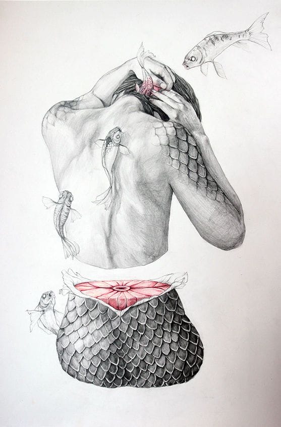 Artwork Title: Metamorfish