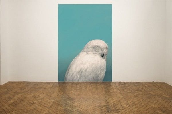 Artwork Title: undefined