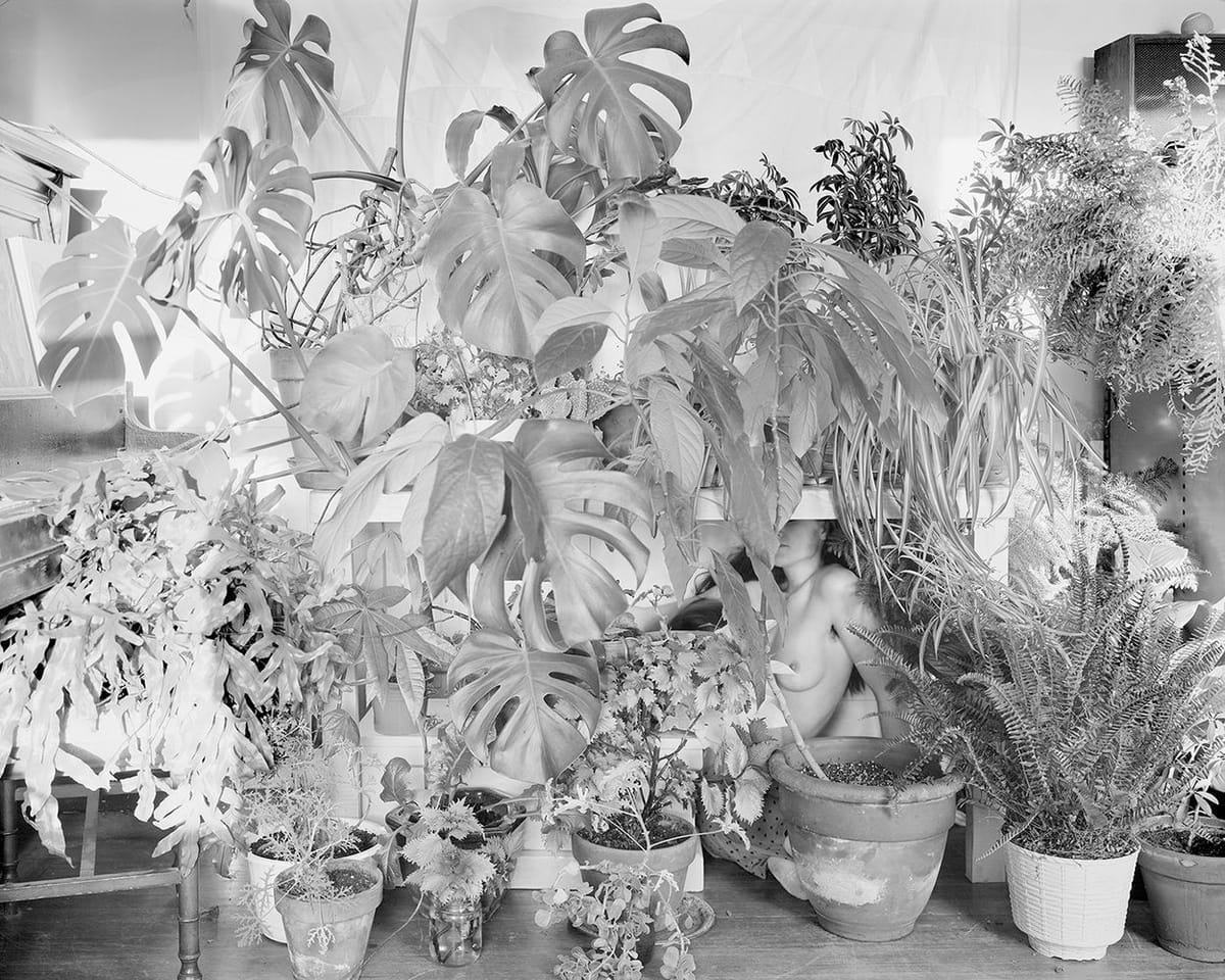 Artwork Title: Preparing to Connect With Nature (All the House Plants)