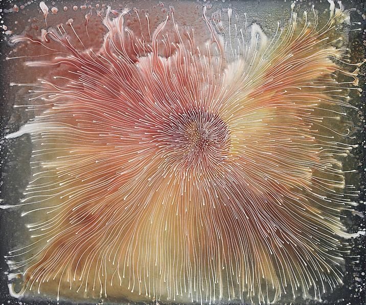 Artwork Title: Lines to the Center II