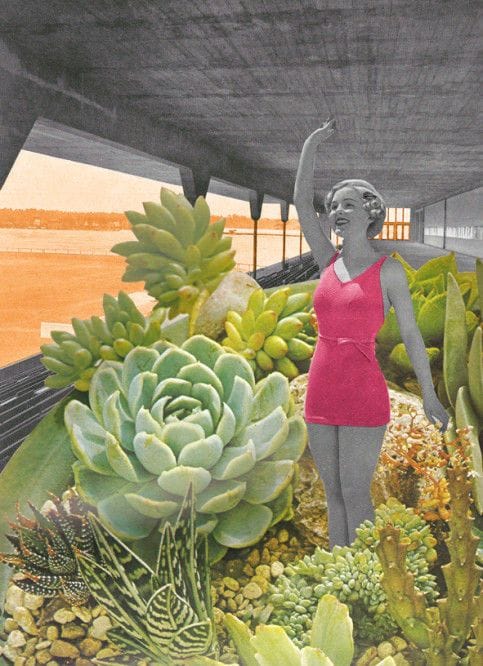 Artwork Title: Les plantes grasses  (Succulents)