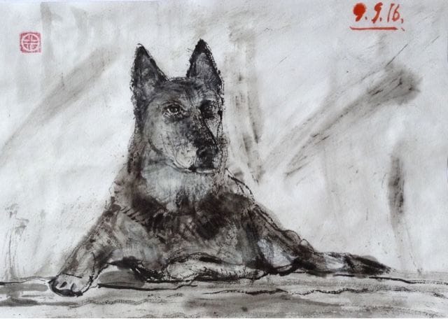 Artwork Title: Old Dog